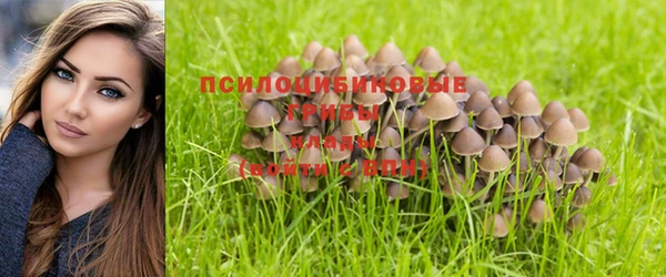 эйфоретик Зеленокумск