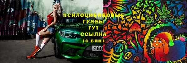 эйфоретик Зеленокумск