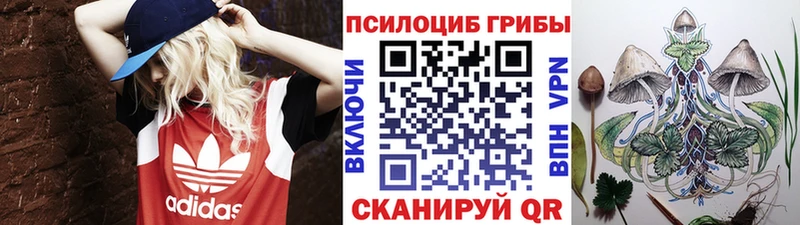 сайты даркнета клад  Нерюнгри  Галлюциногенные грибы MAGIC MUSHROOMS 