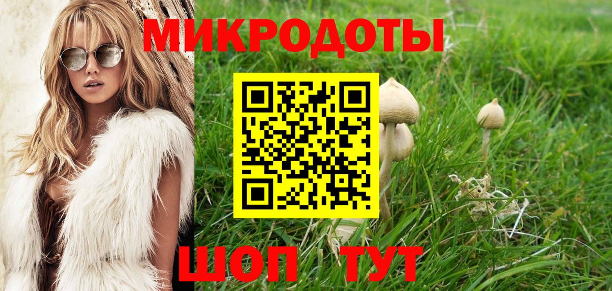 Галлюциногенные грибы Magic Shrooms  Вход с VPN  Нерюнгри  Псилоцибиновые грибы Cubensis 