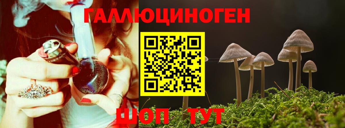 Псилоцибиновые грибы MAGIC MUSHROOMS  Нерюнгри 