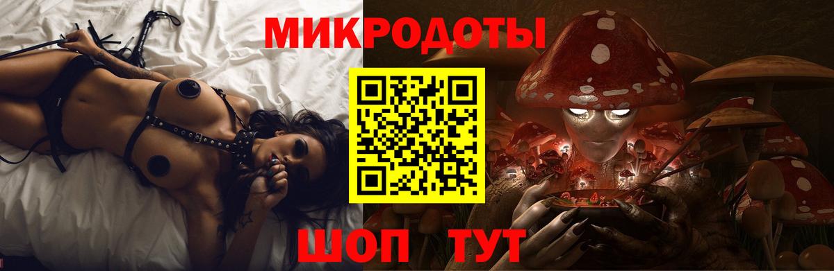 Псилоцибиновые грибы GOLDEN TEACHER Нерюнгри